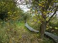 wandeling 22-10-2017_(32)